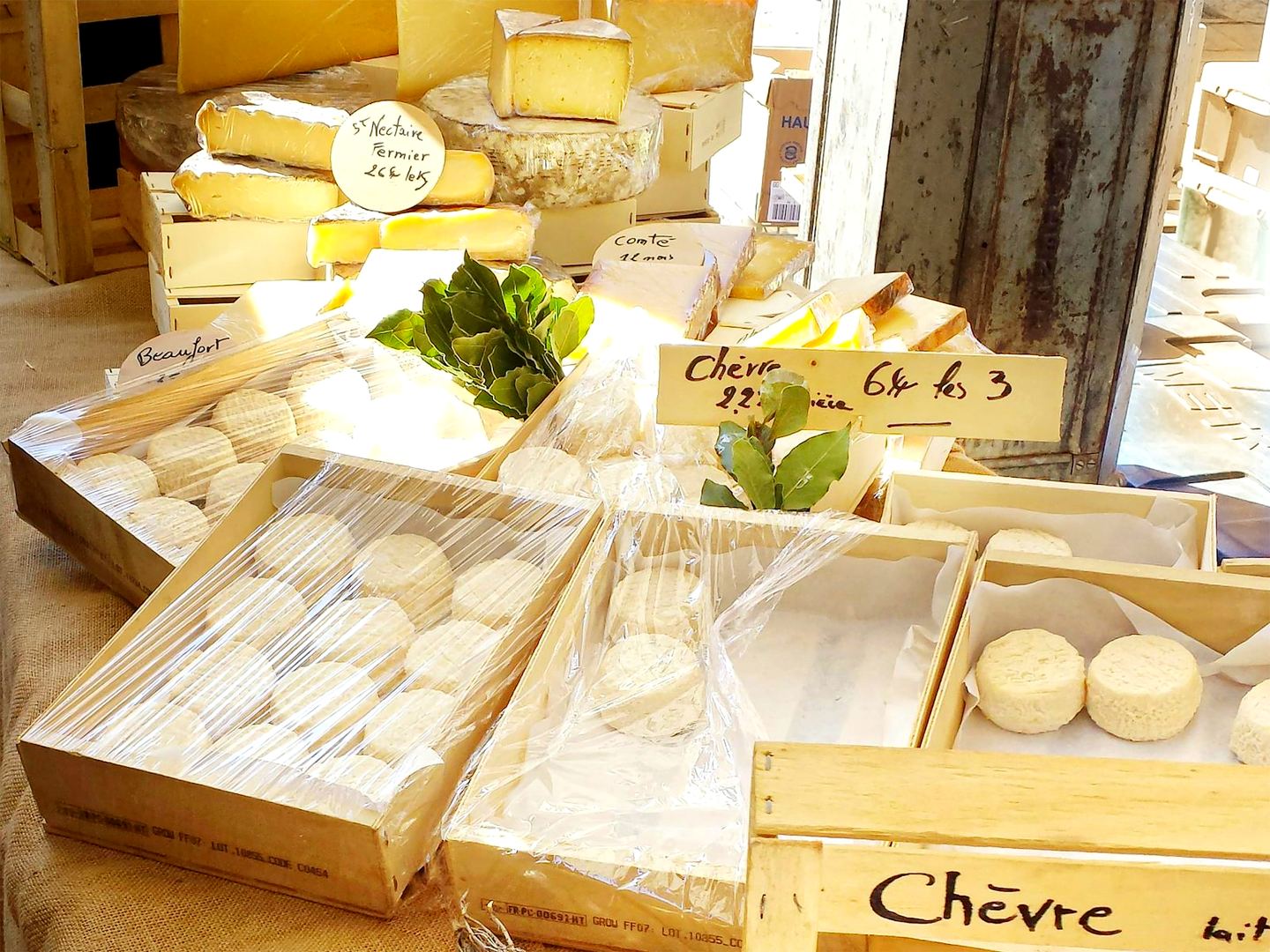 Goat’s cheeses on a market stall in Provence