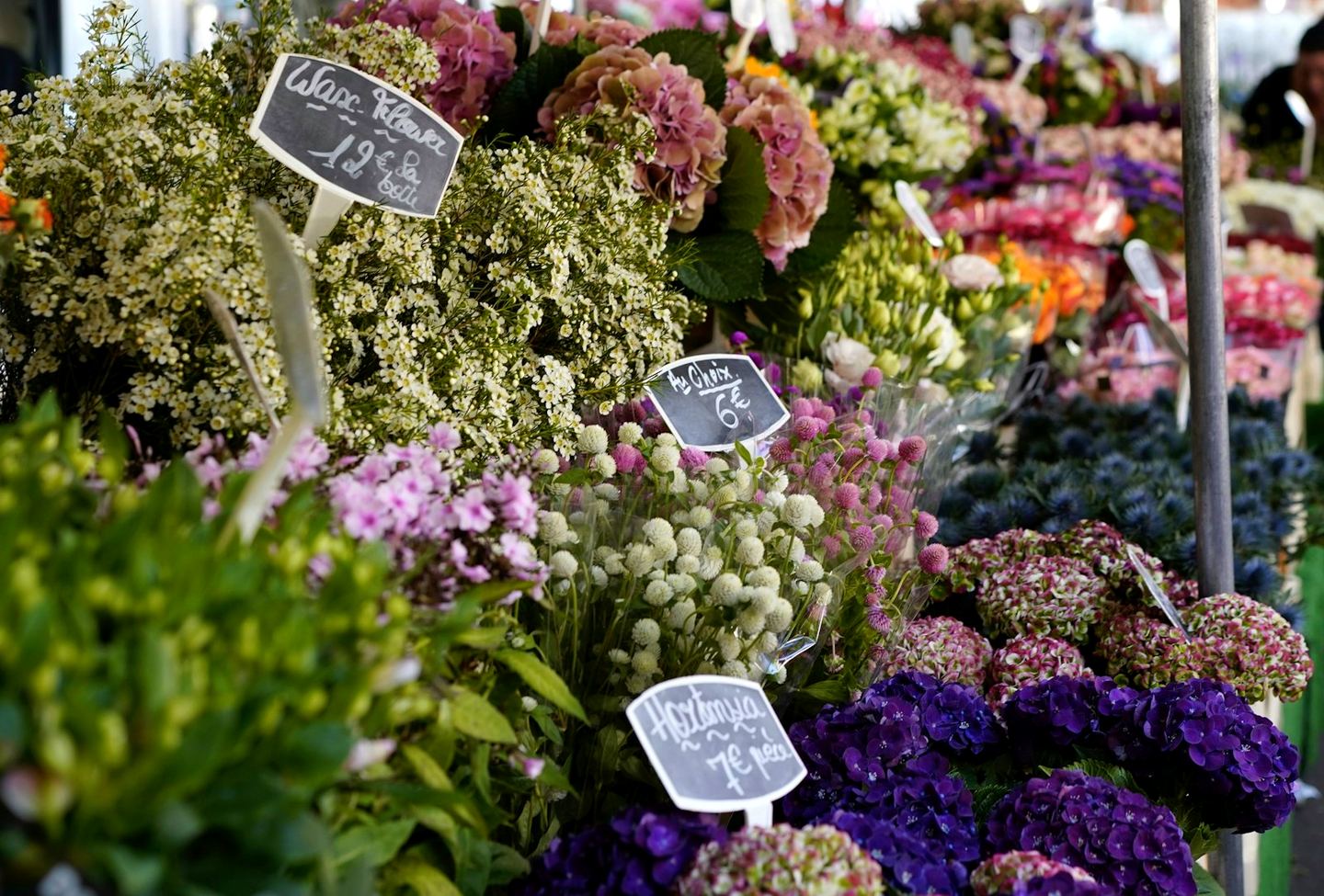 Flower stall at a French market